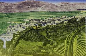 Oued Imbert 01